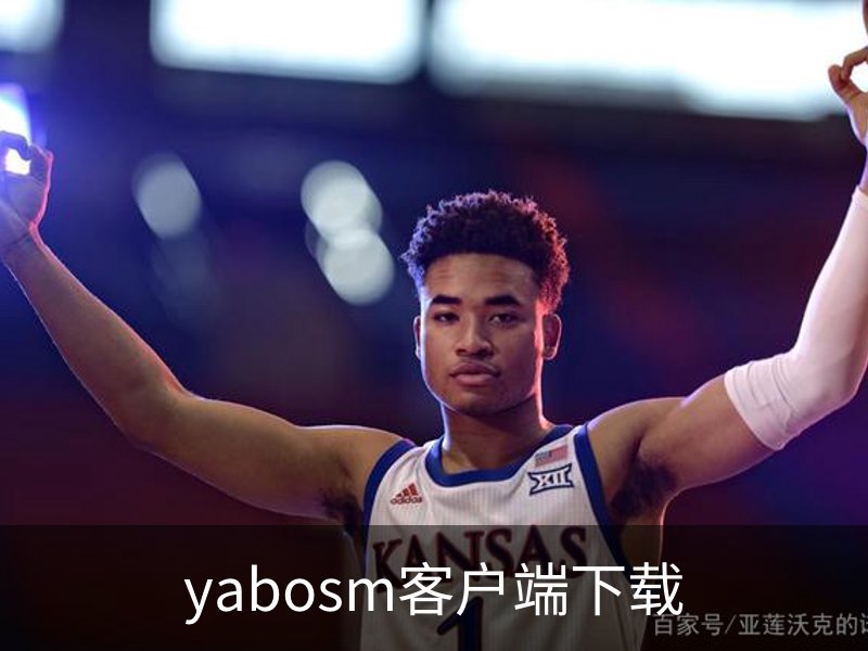 yabosm客户端下载概况